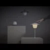 Blomus Ani Lamp Mobile LED-Leuchte Aluminium Weiß -Gartenmöbel Geschäft 1212302 v 1022