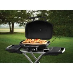 Napoleon Pizzastein Für TravelQ -Gartenmöbel Geschäft napoleon pizzastein fuer travelq 1464697 3