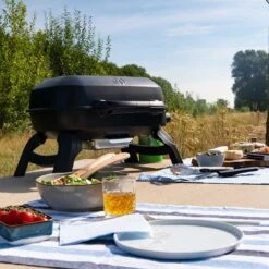 Napoleon TRAVELQ 240 Gasgrill -Gartenmöbel Geschäft napoleon travelq 240 gasgrill 1464609 3